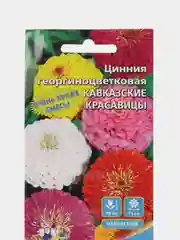 Конфетный семена цветов "Цинния кактусовидная", георгиновидная, разные виды, смесь расцветок