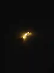 Разноцветный светодиодная гирлянда на батарейках "Нить. Роса"