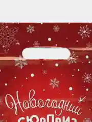 Красный пакет подарочный новогодний, 20*30, 1 шт, 3 шт