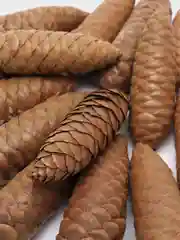 Тёмно-коричневый шишки еловые, сосновые, натуральные для декора и новогоднего украшения поделок, 5/10/15 шт