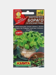 Семена Микрозелень "Бораго (огуречная трава)", 3 г