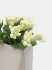 Бежевый букет тычинок, с сахарными вставками