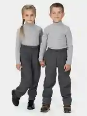 Серый брюки демисезонные на флисе,Arctic kids