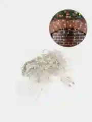 Электрогирлянда-бахрома ЗОЛОТАЯ СКАЗКА комнатная, 2х0.5 м, 100 LED, холодный белый, 220 V