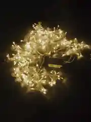 Электрогирлянда-занавес комнатная ЗОЛОТАЯ СКАЗКА Штора, 3х2 м, 306 LED, теплый белый