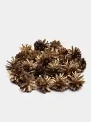 Шишки сосновые золотые, 20 шт