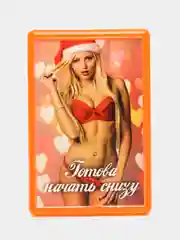 Багровый магнит новогодний