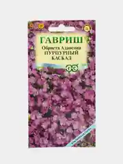Обриета Пурпурный каскад, семена, цветы