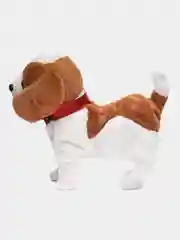 Оливковый собака с поводком