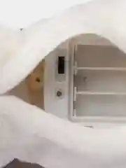 Оливковый собака с поводком