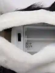 Черный собака с поводком