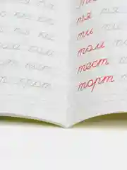 Тёмно-розовый прописи каллиграфические "Аниме" 195х276 мм. 16 стр. Проф-Пресс