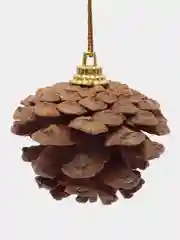 Сосновые шишки 6 / 12 штук