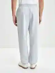 Серый брюки мужские Zarina из трикотажа