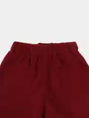 Красный костюм детский, двойка, на флисе