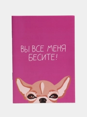 Блокнот "Бесите", 32 листа, формат А6