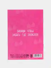 Блокнот "Блокнот склерозницы", 12 листов, формат А6