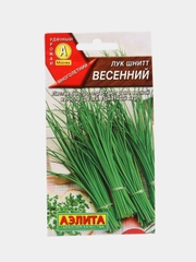 Лук шнитт Весенний, семена