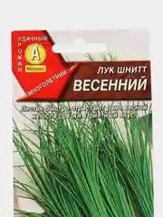 Лук шнитт Весенний, семена