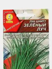 Лук шнитт "Зеленый луч", семена