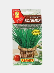 Лук шнитт "Богемия", семена
