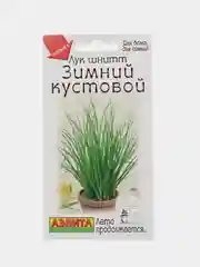 Лук шнитт Зимний кустовой (семена)
