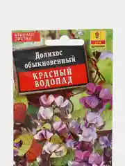 Долихос "Красный водопад", семена, цветы