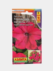 Петуния Городские гиганты F1 пурпурная мантия (семена, цветы)