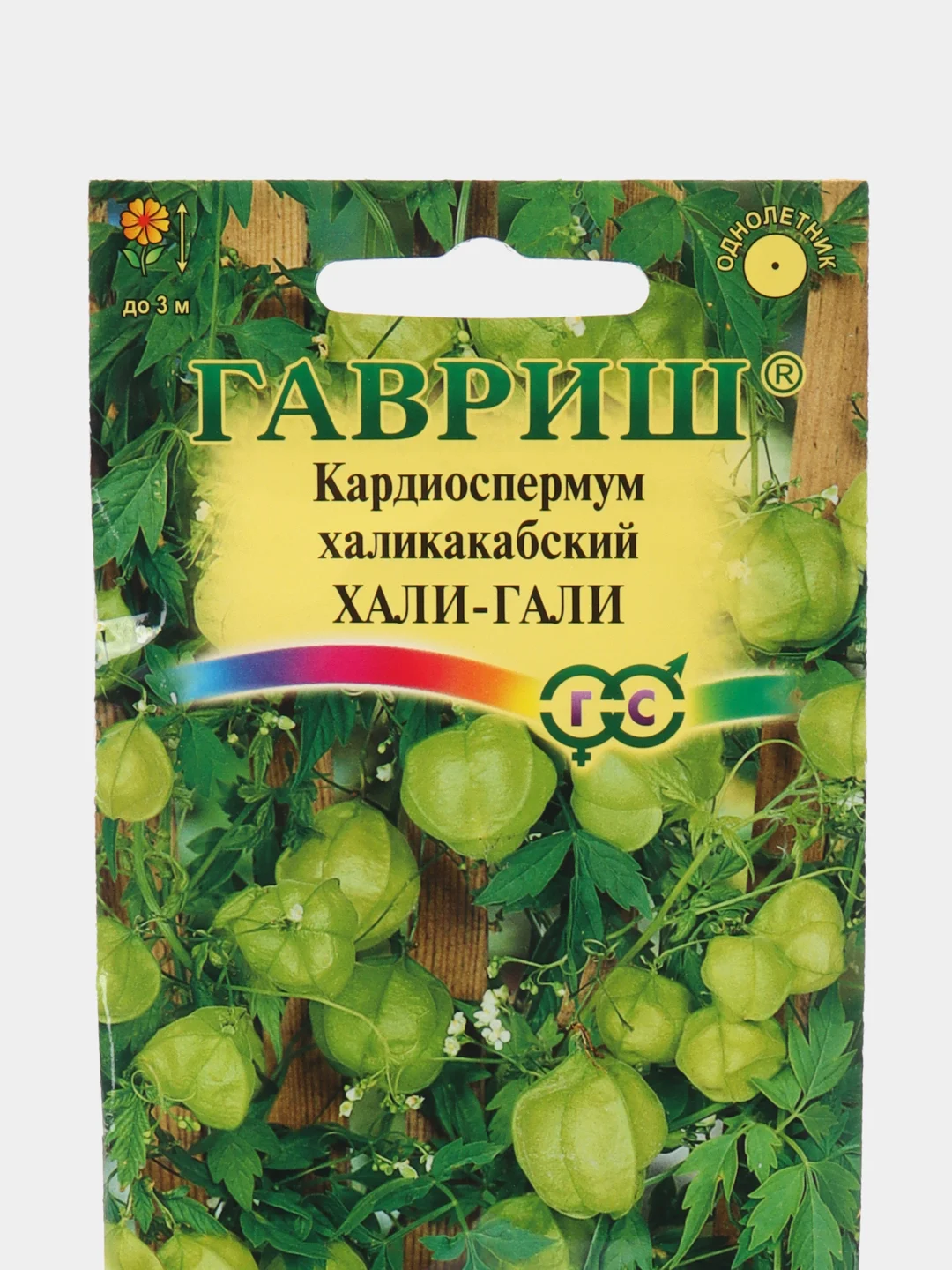 Кардиоспермум халикакабский Хали-Гали, семена, цветы