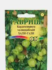 Кардиоспермум халикакабский Хали-Гали, семена, цветы