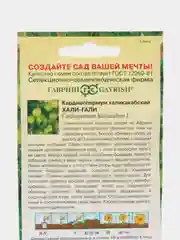 Кардиоспермум халикакабский Хали-Гали, семена, цветы