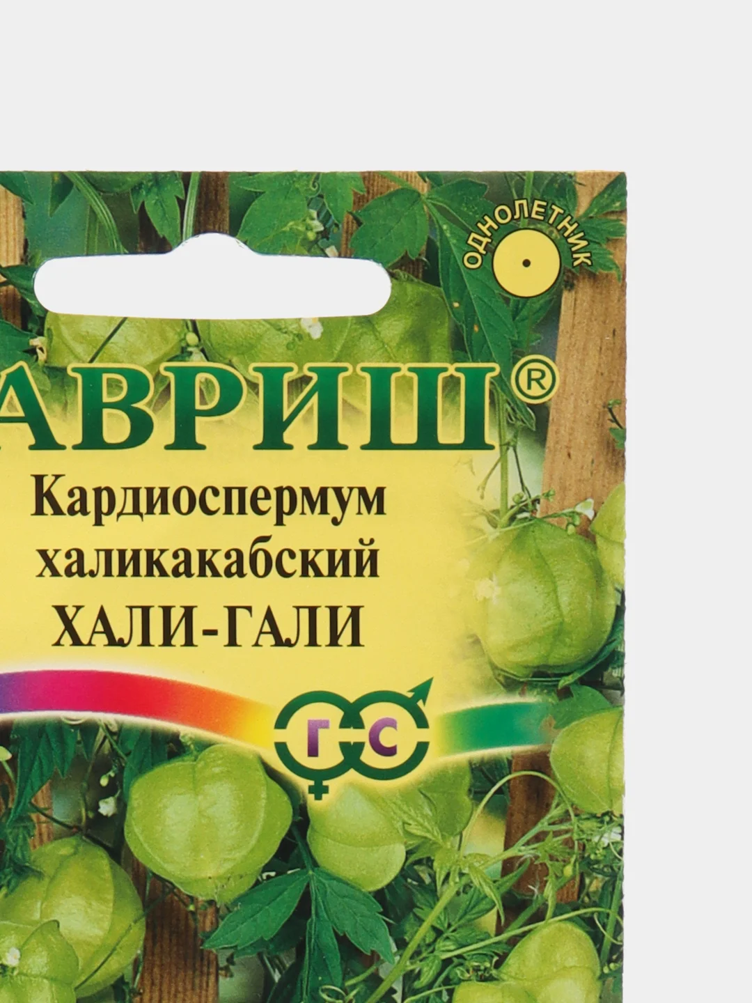 Кардиоспермум халикакабский Хали-Гали, семена, цветы