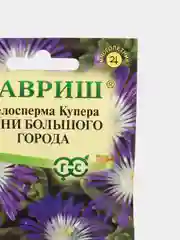 Делосперма обильноцветущая Огни большого города (семена,цветы)