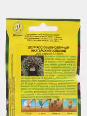 Долихос Ниагарский водопад (семена,цветы)