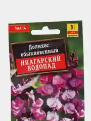 Долихос Ниагарский водопад (семена,цветы)