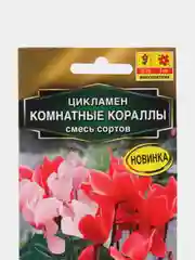 Цикламен Комнатные кораллы (семена,цветы)