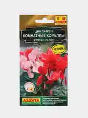 Цикламен Комнатные кораллы (семена,цветы)