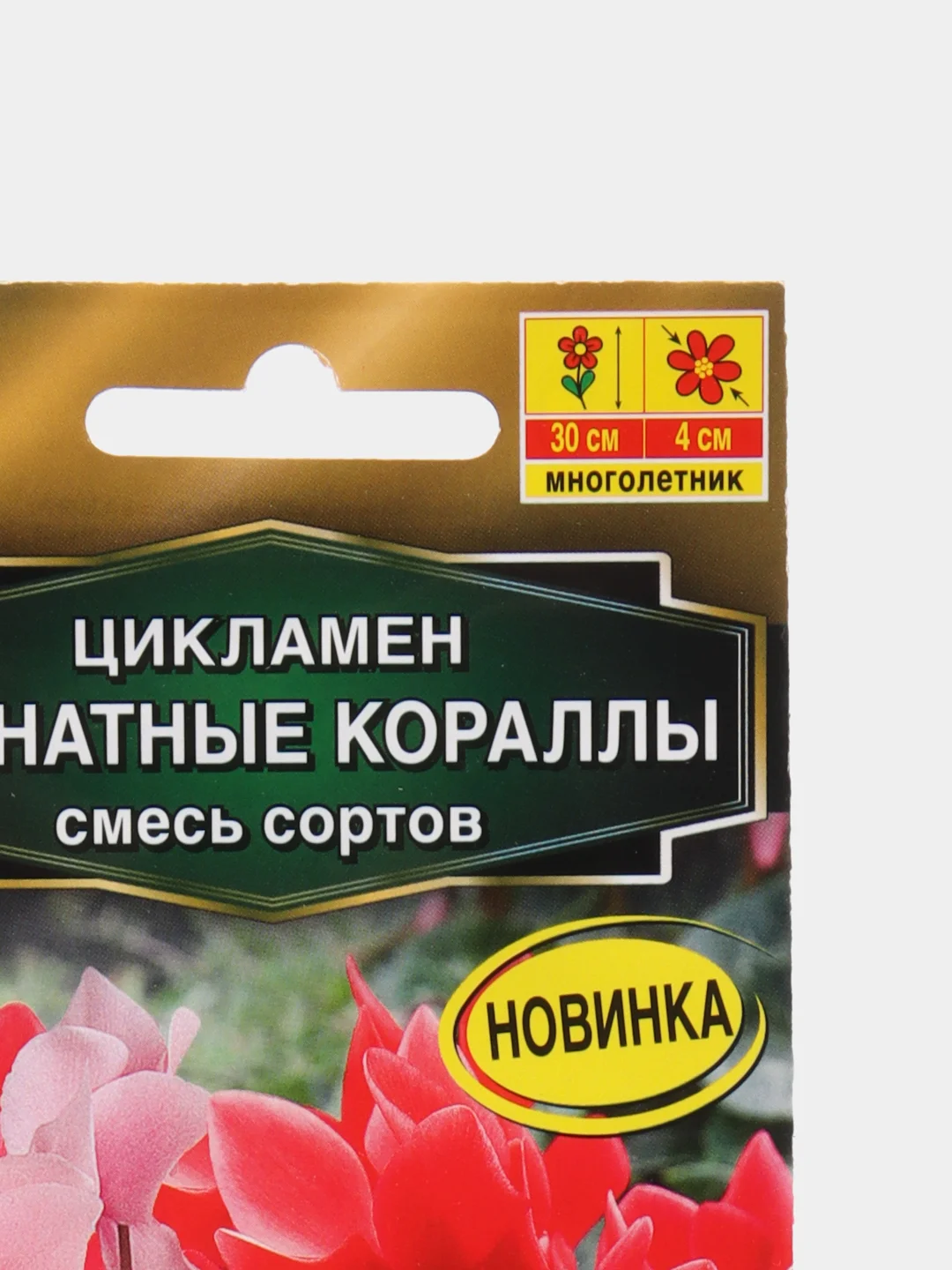 Цикламен Комнатные кораллы (семена,цветы)
