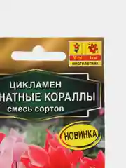 Цикламен Комнатные кораллы (семена,цветы)