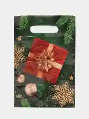 Зеленый пакетики подарочные 19*25, 20*30 см новогодние, пакеты, товары для праздника