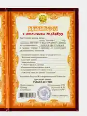 Бирюзовый диплом шуточный, сувенир