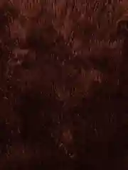 Зеленый гамак для грызунов, двухъярусный подвесной дом