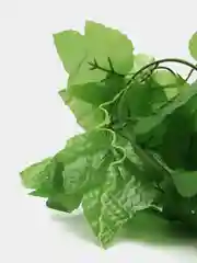 Зеленый искусственная виноградная лоза, лиана с листьями для декора