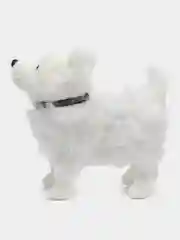 Бежевый собака с поводком