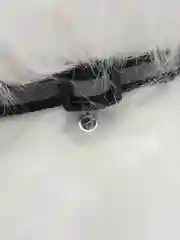 Бежевый собака с поводком