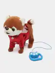 Красный собака с поводком