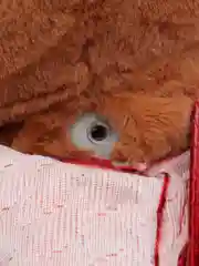 Красный собака с поводком