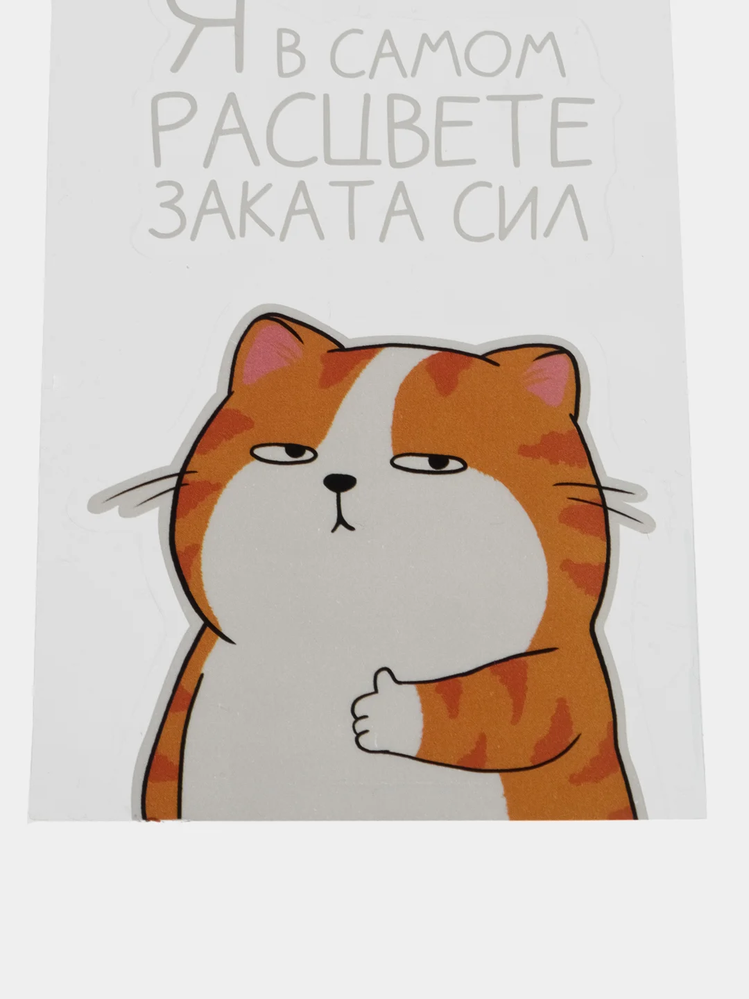 Наклейки на телефон "Закат", 8 х 14 см