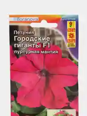 Петуния Городские гиганты F1 пурпурная мантия (семена, цветы)