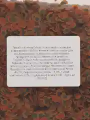 Корм для рыб Tetra Pro Energy Multi-Crisps, 1000 мл, чипсы